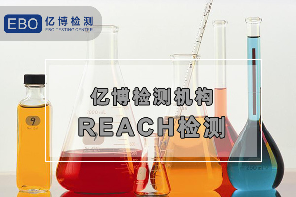 REACH211(xing)