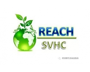 REACHҎ(gu)ʮ(wn)ʮc(din)ļܰ